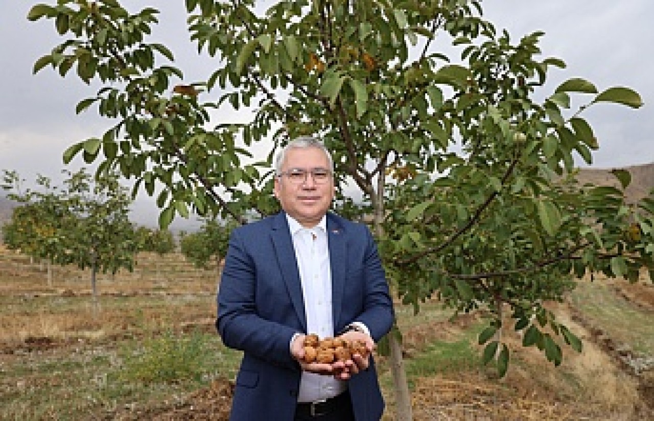 İlk hasad yapıldı