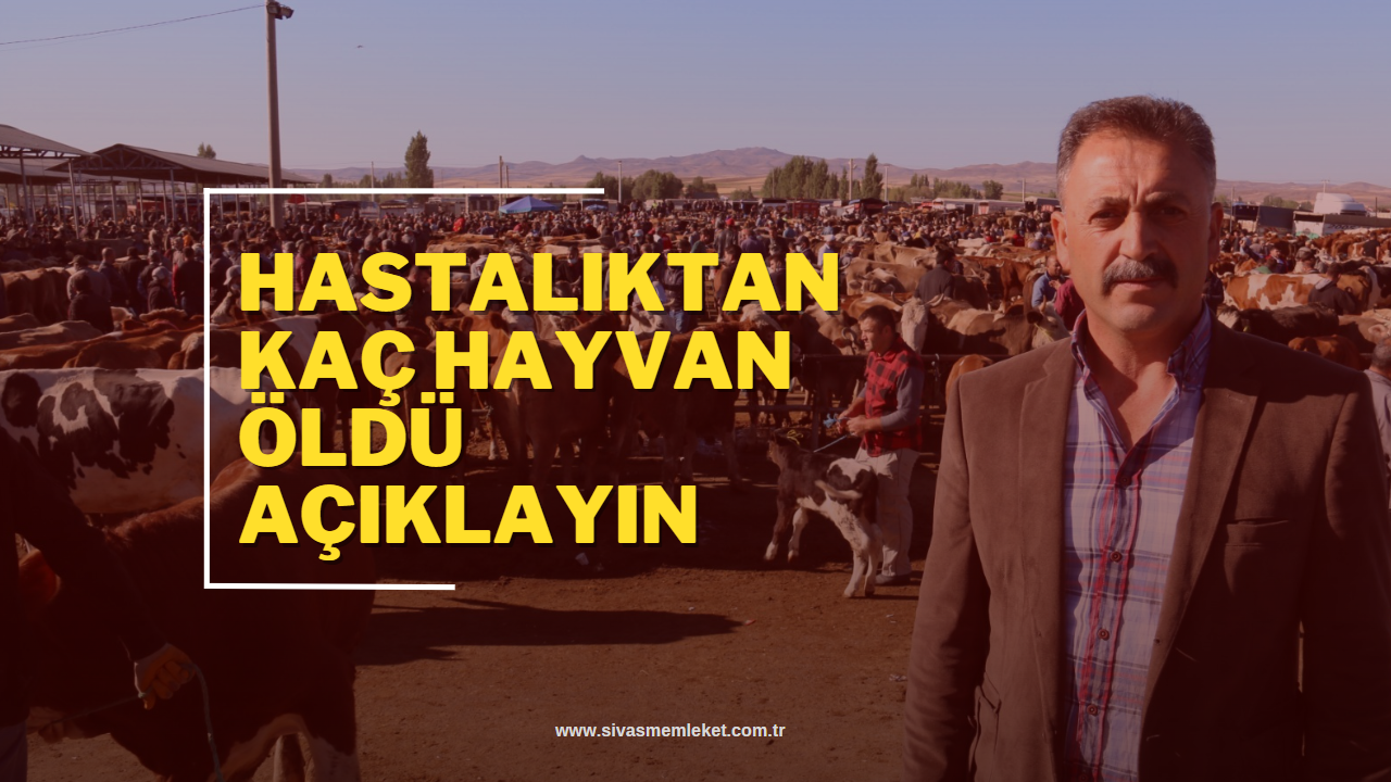 SİVAS'TA HAYVAN ÖLÜMLERİNİN NEDENİ AÇIKLANSIN