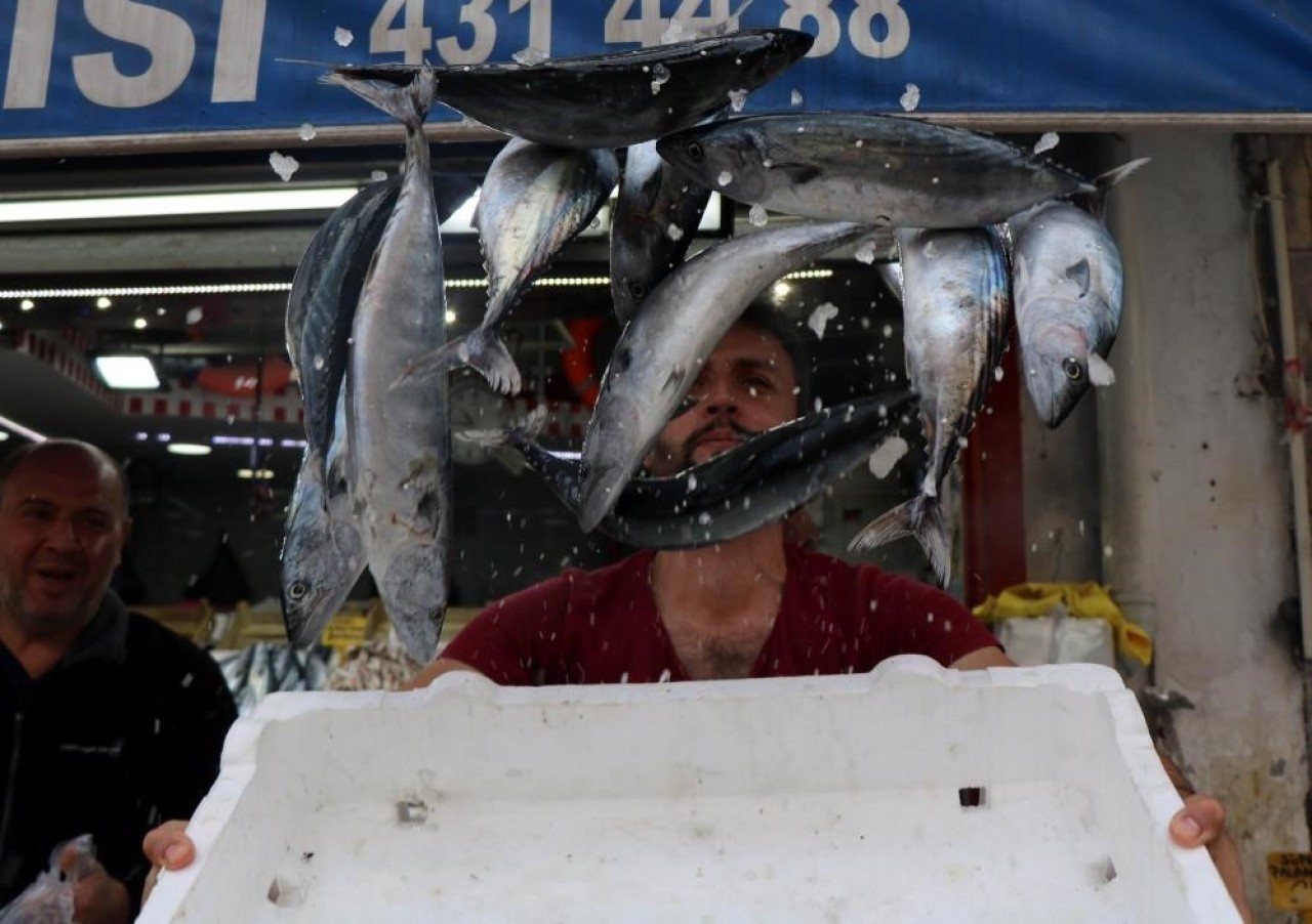 Karadeniz’de bu yıl palamut yok,  hamsi var