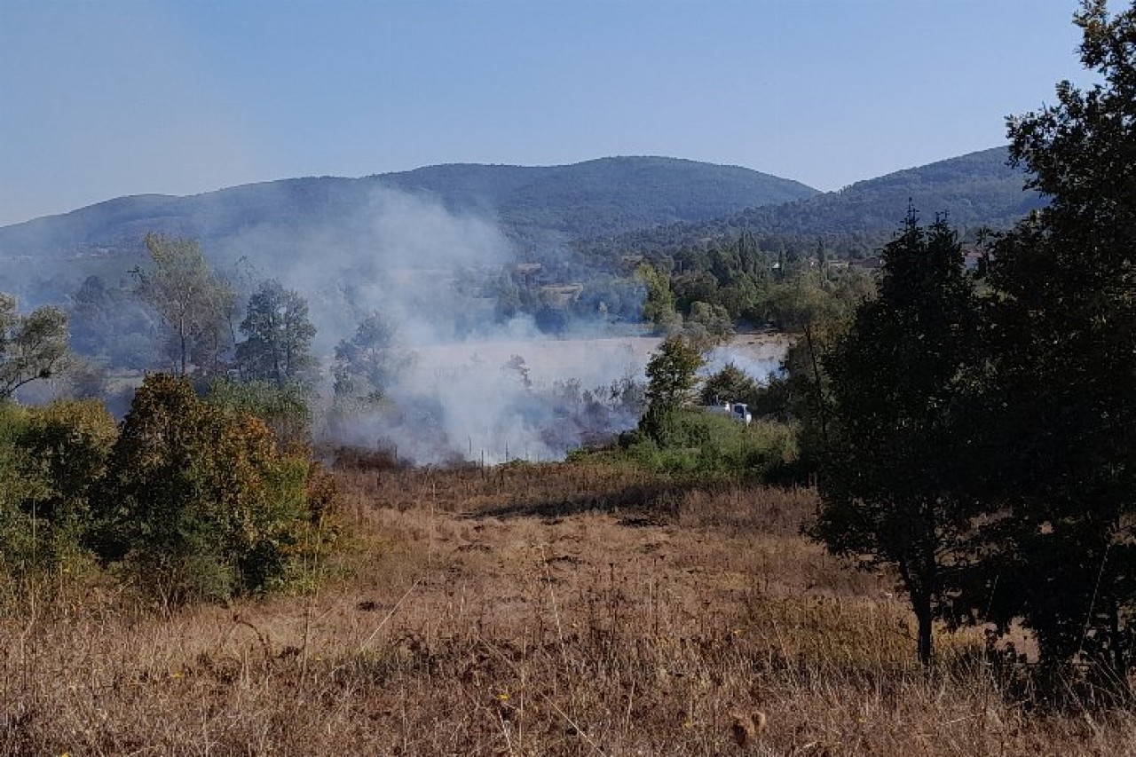 Alevler tabiat parkına ulaşmadan söndürüldü