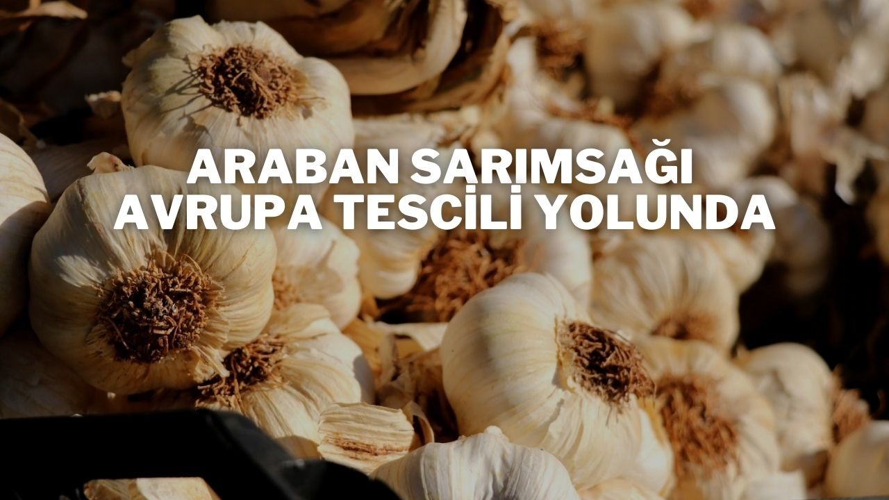 Araban Sarımsağı Avrupa Tescili Yolunda