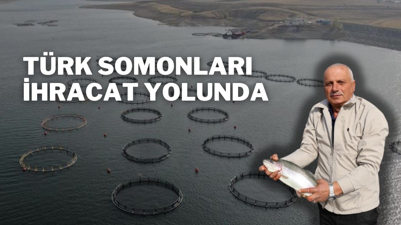 Türk Somonları İhracat Yolunda