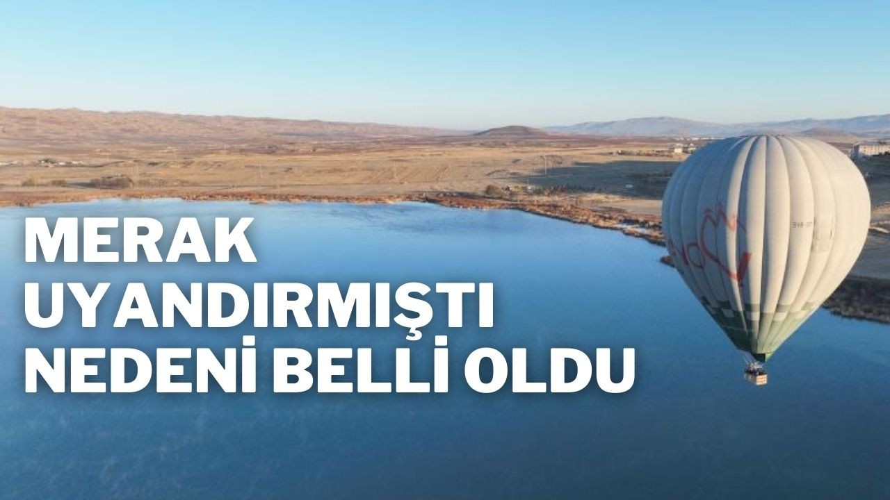 Merak Uyandırmıştı Nedeni Belli Oldu