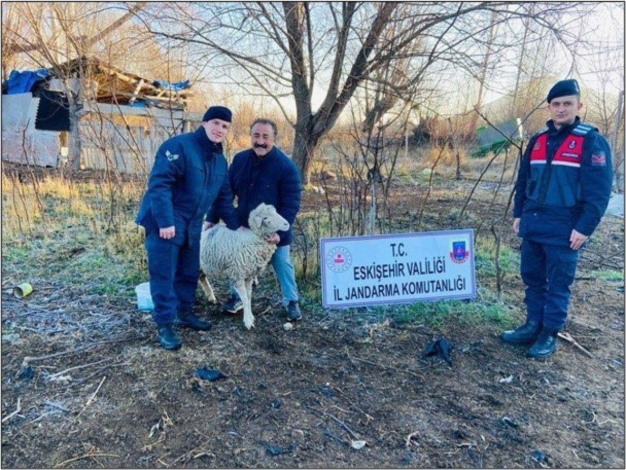 Koyunlar Ankara'da Bulundu