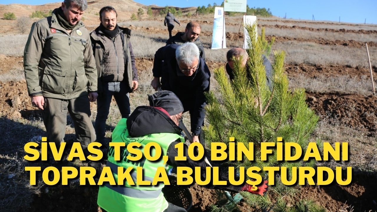 Sivas TSO,  10 Bin Fidanı Toprakla Buluşturdu