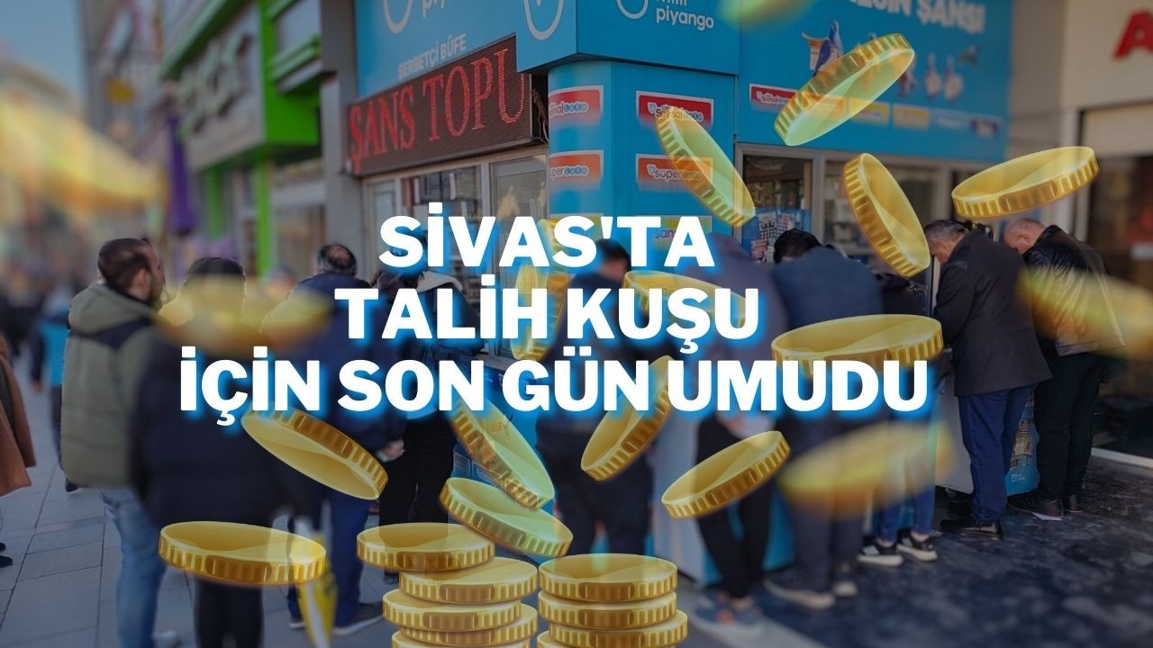 Sivas'ta Talih Kuşu İçin Son Gün Umudu