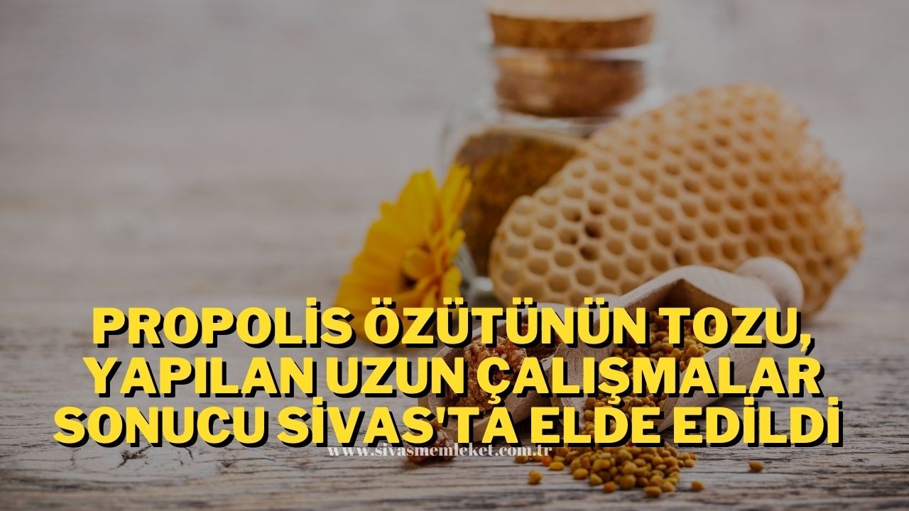 Propolis Özütünün Tozu,  Yapılan Uzun Çalışmalar Sonucu Sivas'ta Elde Edildi