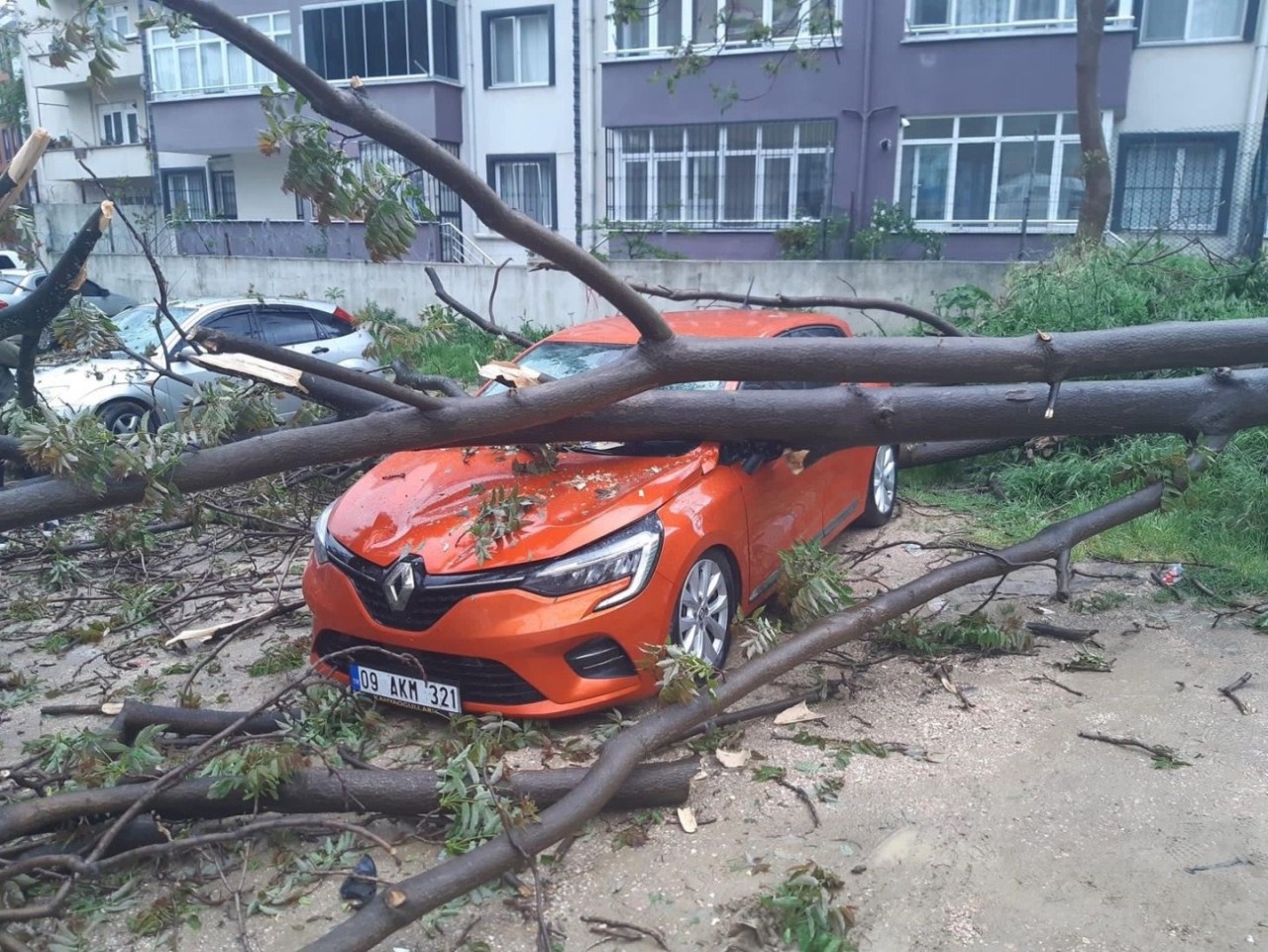 Çürük Ağaç Otomobilin Üzerine Devrildi!