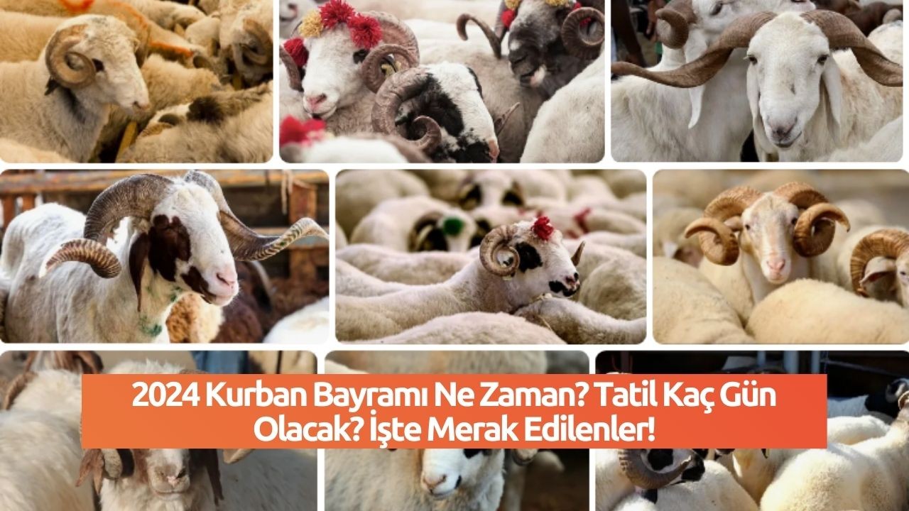 2024 Kurban Bayramı Ne Zaman? Tatil Kaç Gün Olacak? İşte Merak Edilenler!