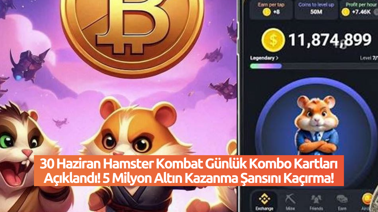 30 Haziran Hamster Kombat Günlük Kombo Kartları Açıklandı! 5 Milyon Altın Kazanma Şansını Kaçırma!