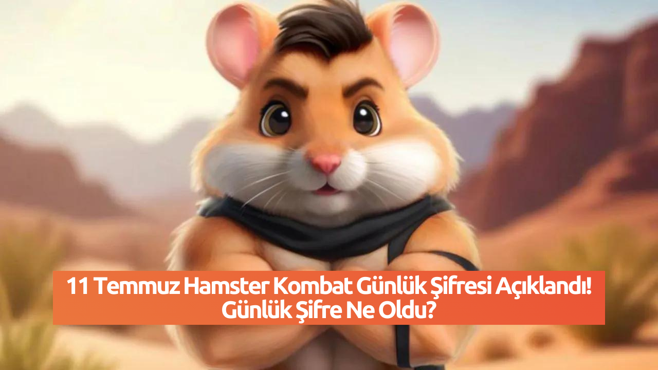 11 Temmuz Hamster Kombat Günlük Şifresi Açıklandı! Günlük Şifre Ne Oldu?