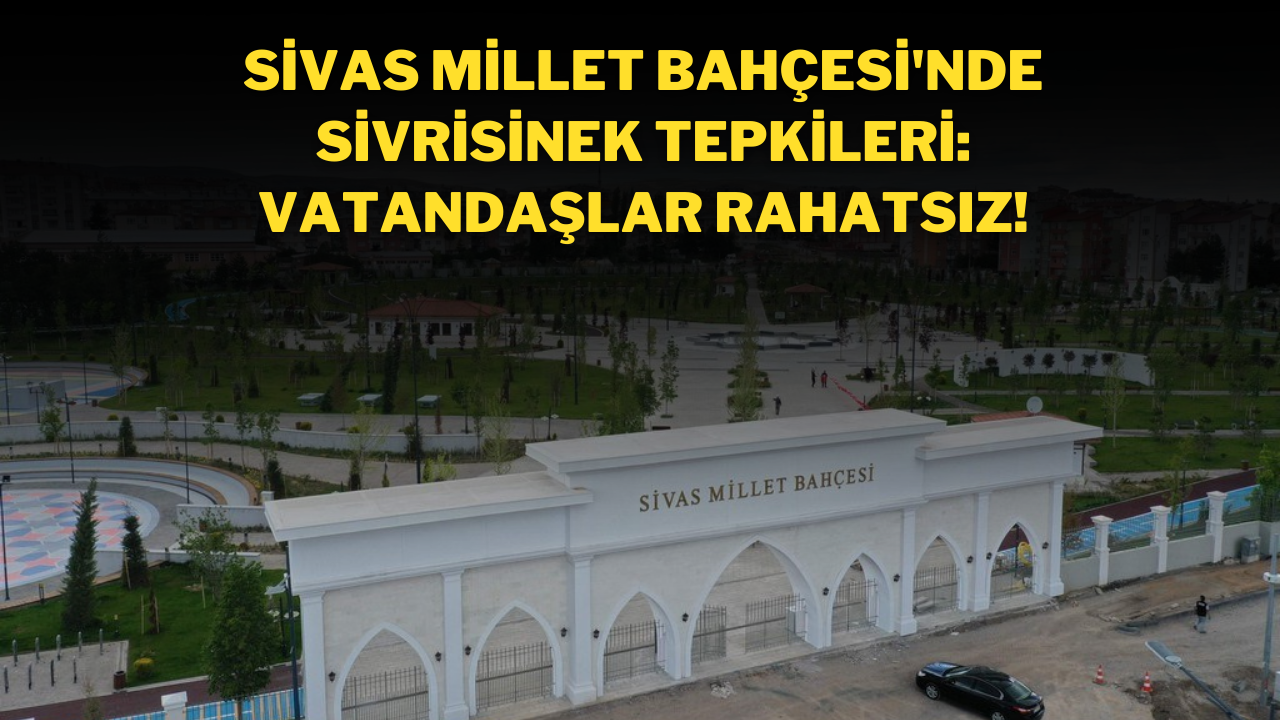 Sivas Millet Bahçesi'nde sivrisinek Tepkileri: Vatandaşlar Rahatsız!