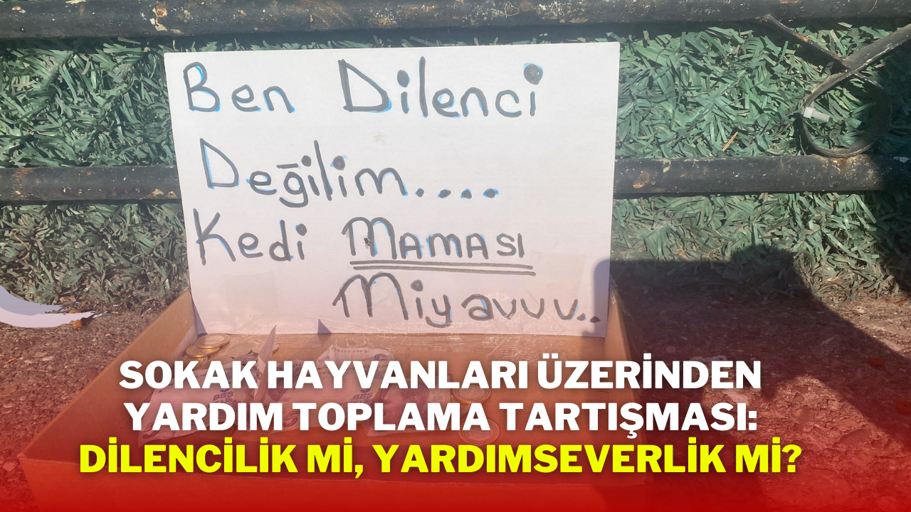 Sokak Hayvanları Üzerinden Yardım Toplama Tartışması: Dilencilik mi,  Yardımseverlik mi?