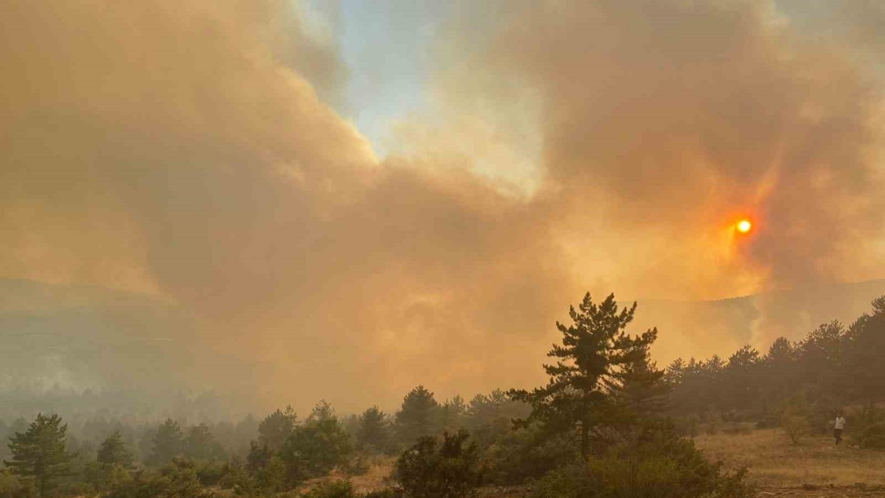 Çankırı’nın Ilgaz İlçesinde Orman Yangınına Müdahale Devam Ediyor