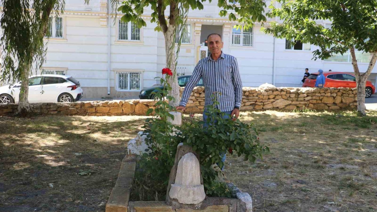 Sivas'ın Cadde Ortasında Gizemli Mezarlık