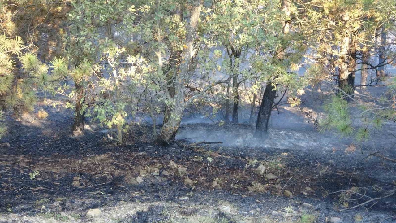 Yozgat'ta Orman Yangınına İlişkin 2 Kişi Serbest Bırakıldı