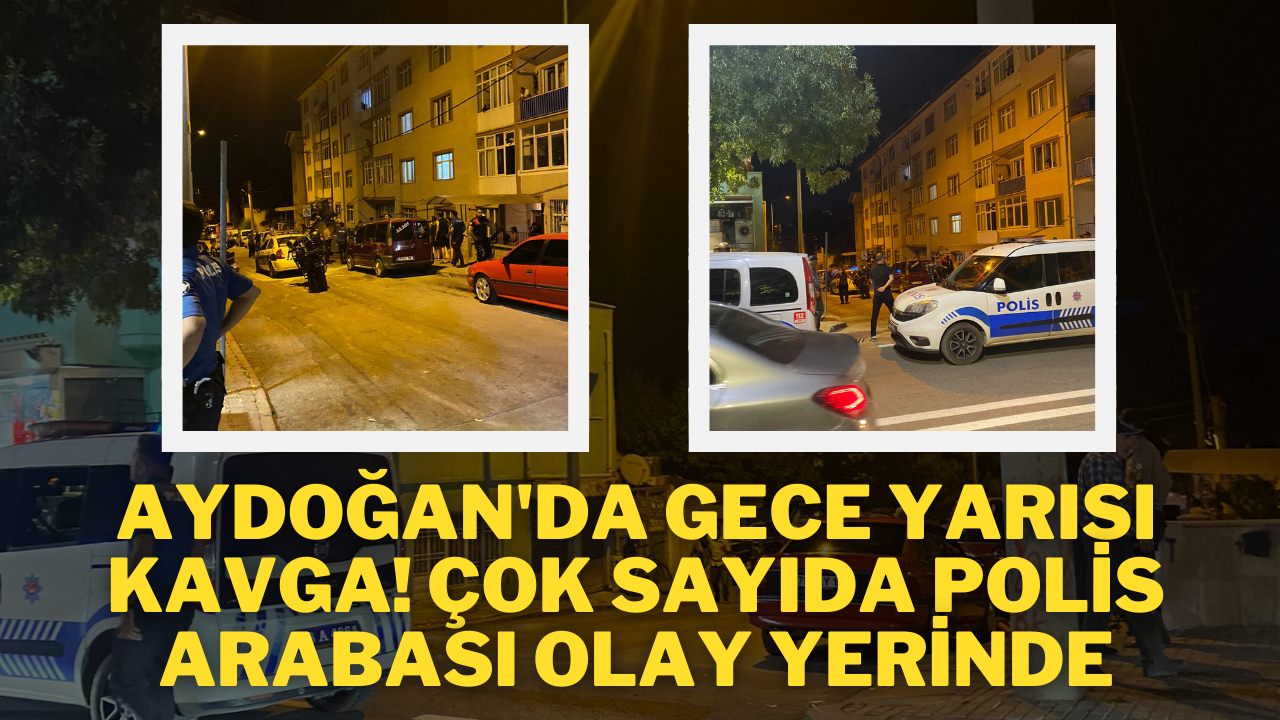 Aydoğan'da Gece Yarısı Kavga! Çok Sayıda Polis Arabası Olay Yerinde