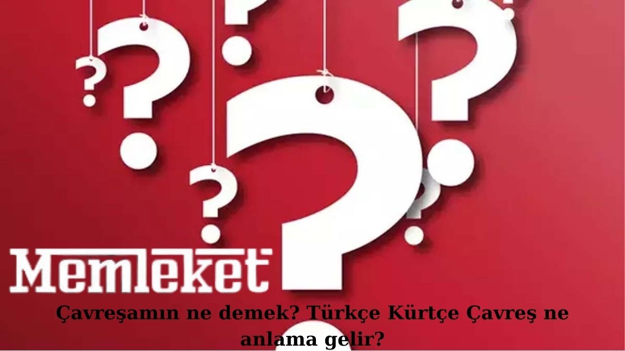 Çavreşamın ne demek? Türkçe Kürtçe Çavreş ne anlama gelir?