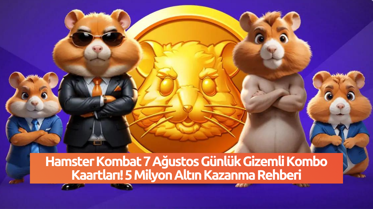 Hamster Kombat 7 Ağustos Günlük Gizemli Kombo Kartları! 5 Milyon Altın Kazanma Rehberi