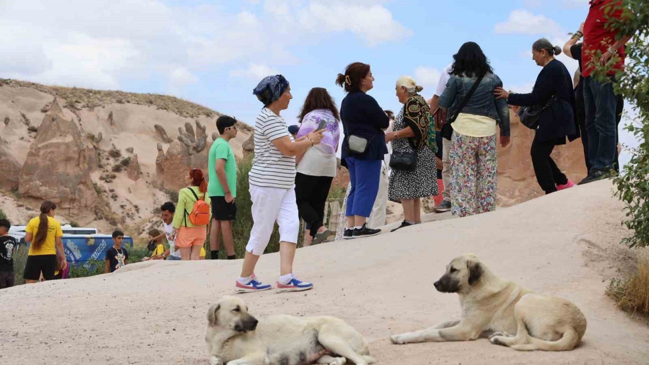 Kapadokya'da Avustralyalı Turiste Sokak Köpeği Saldırdı