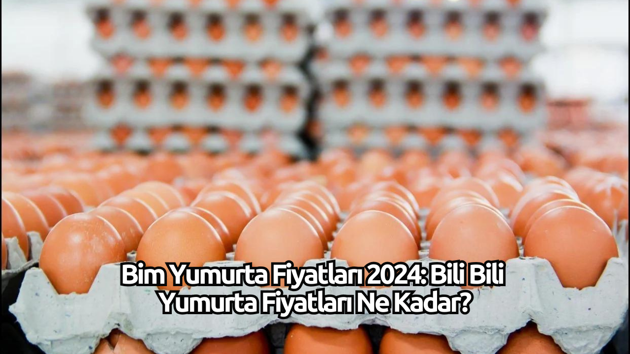 Bim Yumurta Fiyatları 2024: Bili Bili Yumurta Fiyatları Ne Kadar?