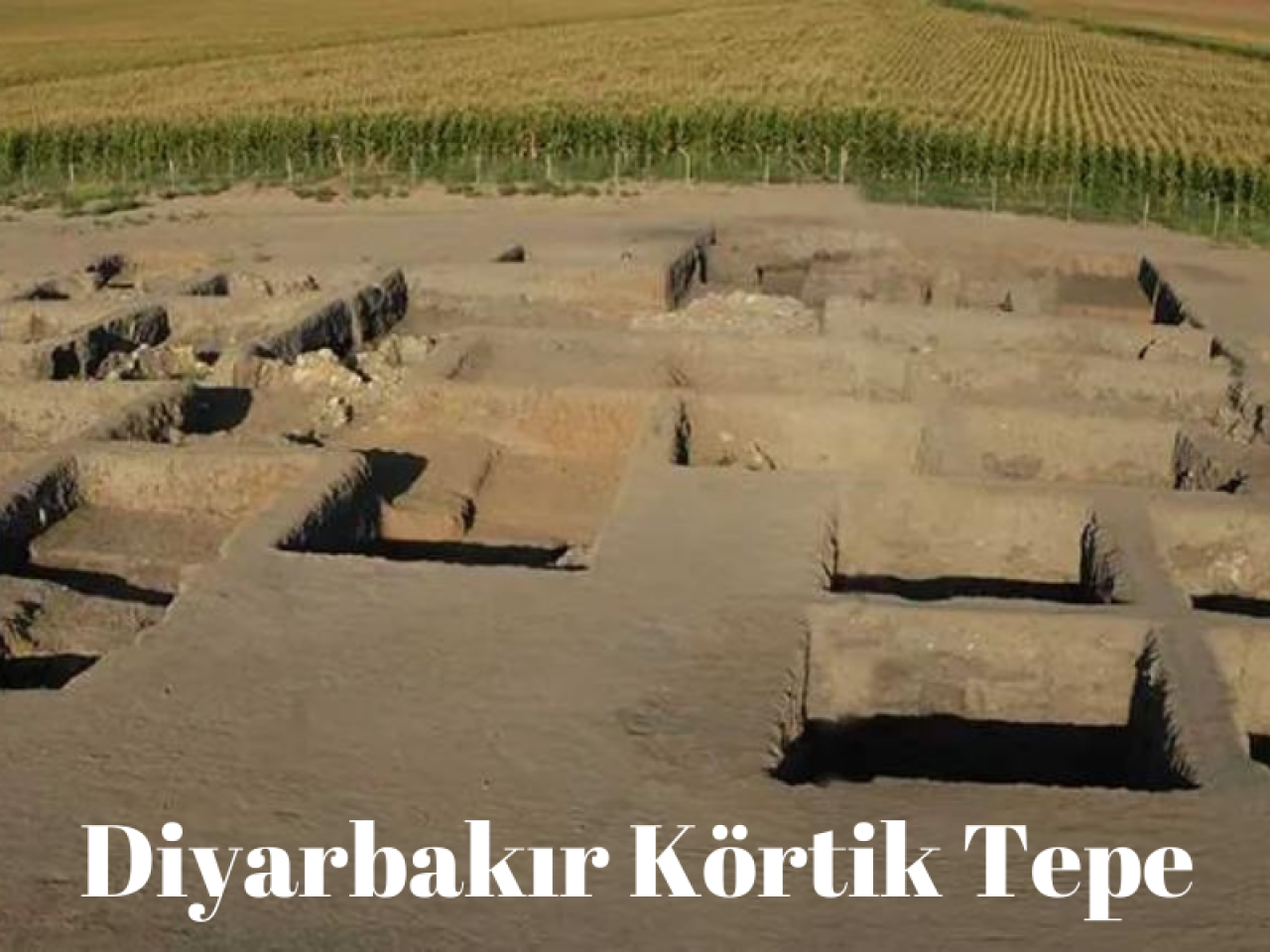 Körtik Tepe Nerede? Körtik Tepe Tarih,  Çıkan Buluntular ve Geleceği