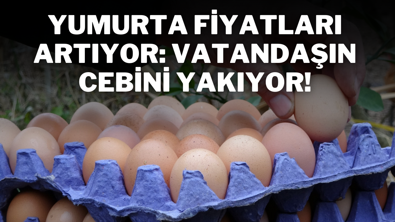 Yumurta Fiyatları Artıyor: Vatandaşın Cebini Yakıyor!