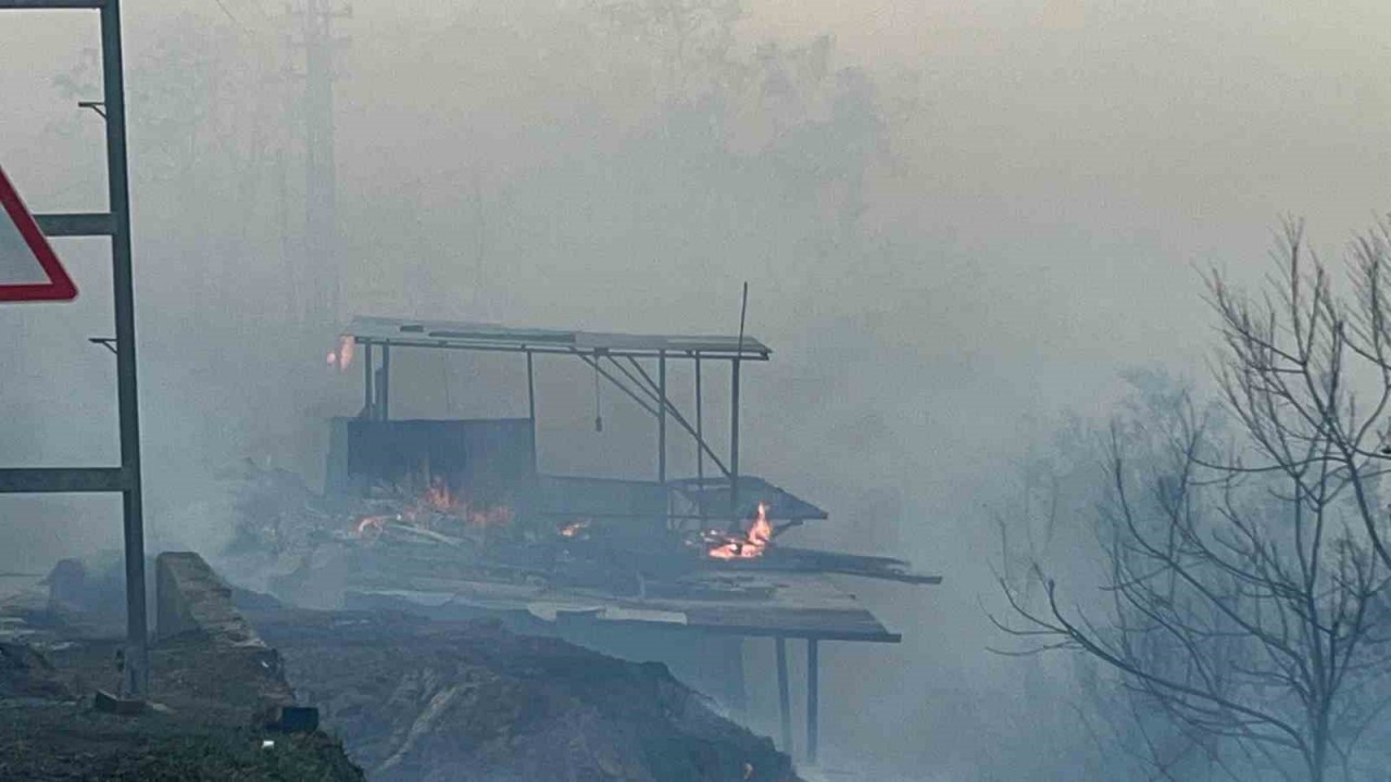 Hatay'da Orman Yangını Evleri Tehdit Ediyor