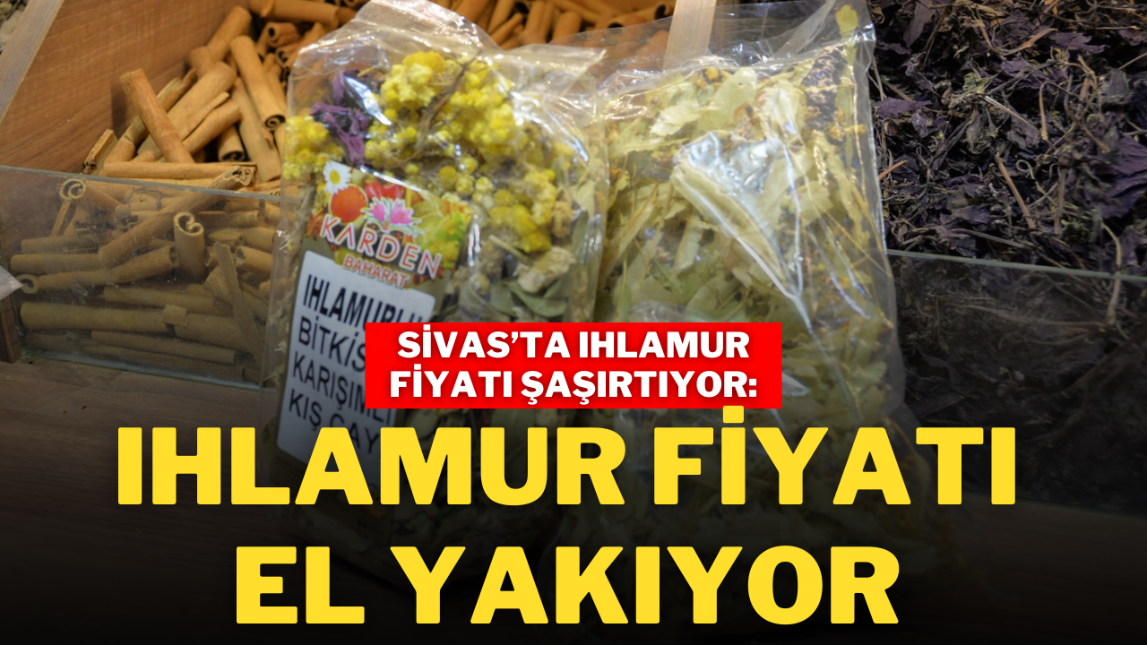 Sivas’ta Ihlamur Fiyatı Şaşırtıyor: Ihlamur Fiyatı El Yakıyor