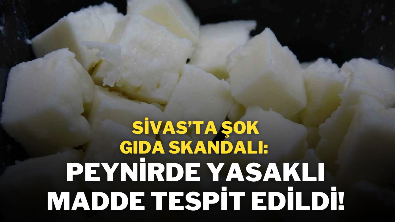 Sivas’ta Şok Gıda Skandalı: Peynirde Yasaklı Madde Tespit Edildi!