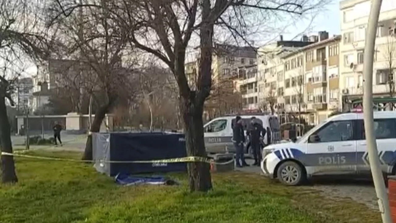 İstanbul'da Feci Olay: Alkol Alan Adam Parkta Donarak Öldü