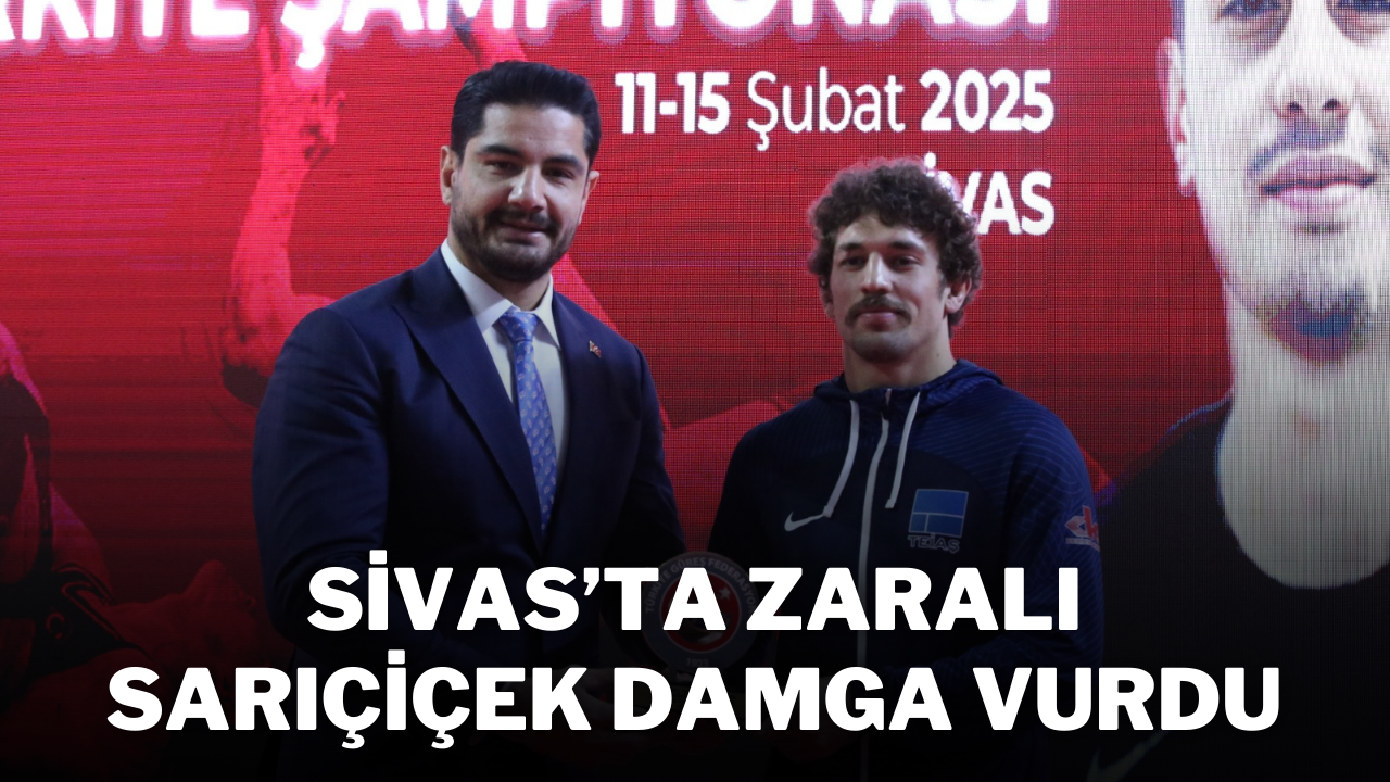 Sivas’ta Zaralı Sarıçiçek Damga Vurdu