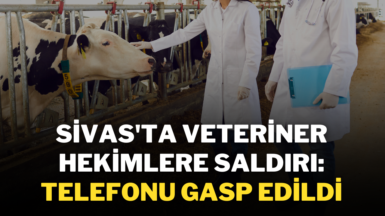 Sivas'ta Veteriner Hekimlere Saldırı: Telefonu Gasp Edildi