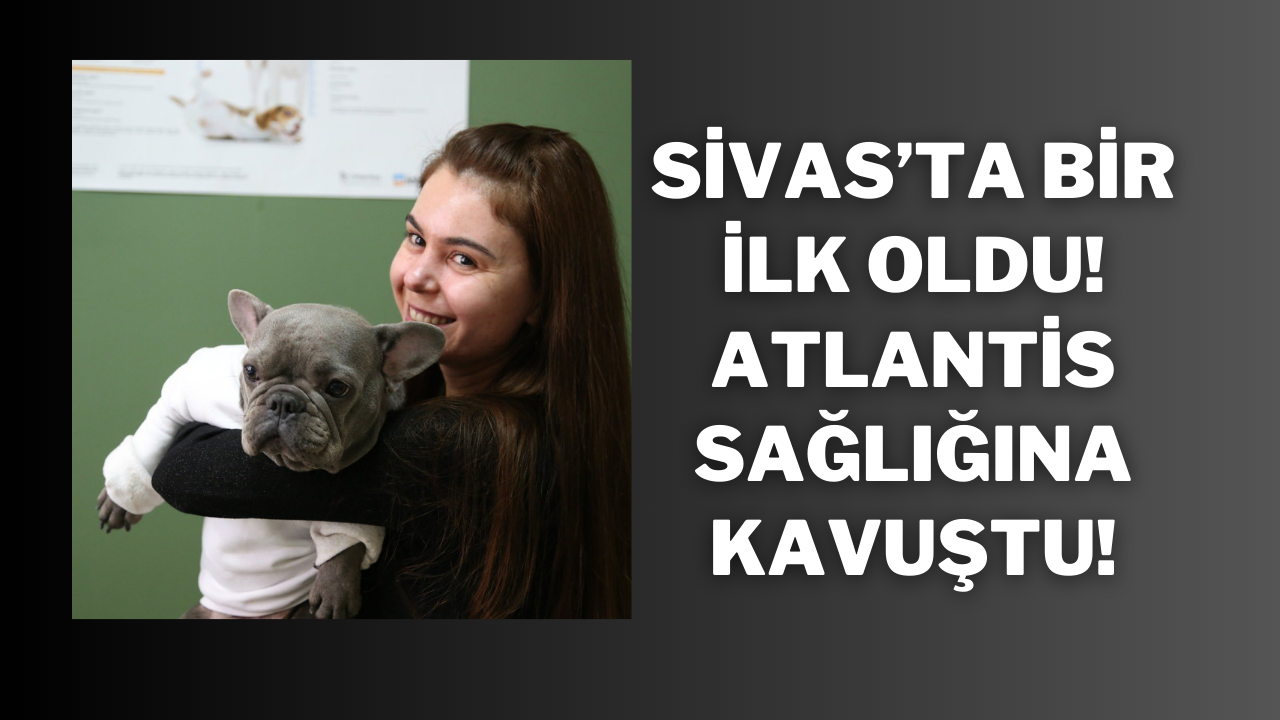 Sivas’ta Bir İlk Oldu! Atlantis Sağlığına Kavuştu!