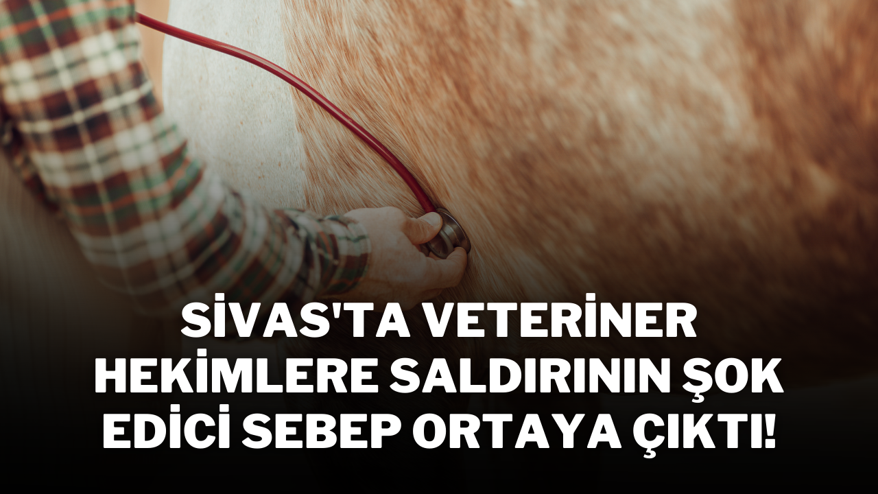 Sivas'ta Veteriner Hekimlere Saldırının Şok Edici Sebep Ortaya Çıktı!