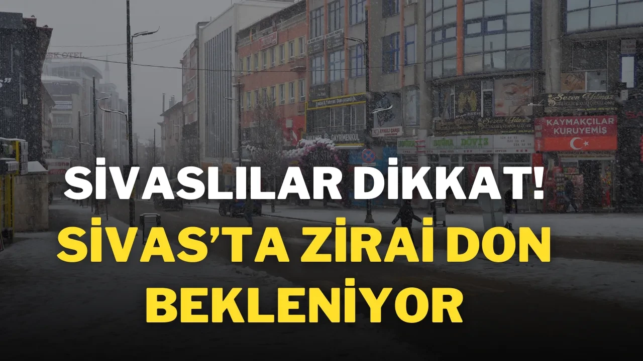 Sivaslılar Dikkat! Sivas’ta Zirai Don Bekleniyor