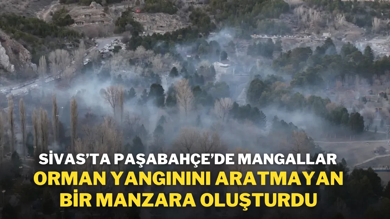 Sivas’ta Paşabahçe’de Mangallar, Orman Yangınını Aratmayan Bir Manzara Oluşturdu