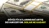 Döviz fiyatlarındaki artış devam ediyor. Dolar ne kadar?