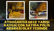 Aydoğan'da Gece Yarısı Kavga! Çok Sayıda Polis Arabası Olay Yerinde