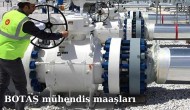 BOTAŞ Mühendis Maaşları ve Çalışma Koşulları: Enerji Sektöründe Kariyer