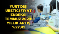 Yurt Dışı Üretici Fiyat Endeksi Temmuz 2024: Yıllık Artış %27, 41