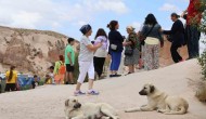 Kapadokya'da Avustralyalı Turiste Sokak Köpeği Saldırdı