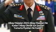 Albay Maaşları 2024: Albay Maaşları Ne Kadar? Albay Olmak İçin Şartlar!