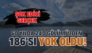 Şok Edici Gerçek: 60 Yılda 240 Gölümüzden 186'sı Yok Oldu!