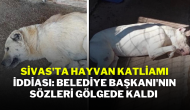 Sivas'ta Hayvan Katliamı İddiası: Belediye Başkanı'nın Sözleri Gölgede Kaldı