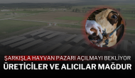 Şarkışla Hayvan Pazarı Açılmayı Bekliyor: Üreticiler ve Alıcılar Mağdur