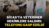 Sivas'ta Veteriner Hekimlere Saldırı: Telefonu Gasp Edildi