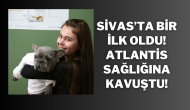 Sivas’ta Bir İlk Oldu! Atlantis Sağlığına Kavuştu!