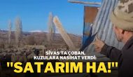 Sivas’ta Çoban,  Kuzulara Nasihat Verdi: ''Satarım Ha!''