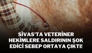 Sivas'ta Veteriner Hekimlere Saldırının Şok Edici Sebep Ortaya Çıktı!